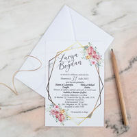catalog invitatii polen